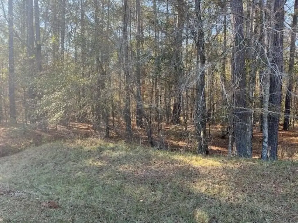 Picture 3