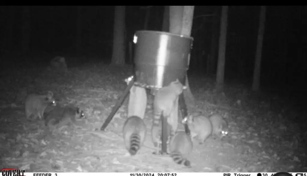 Picture 23