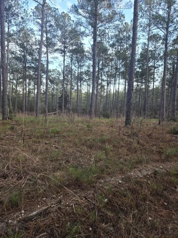 Picture 14