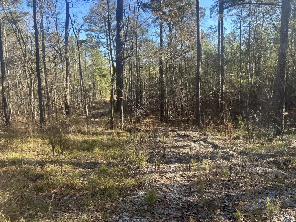 Picture 5