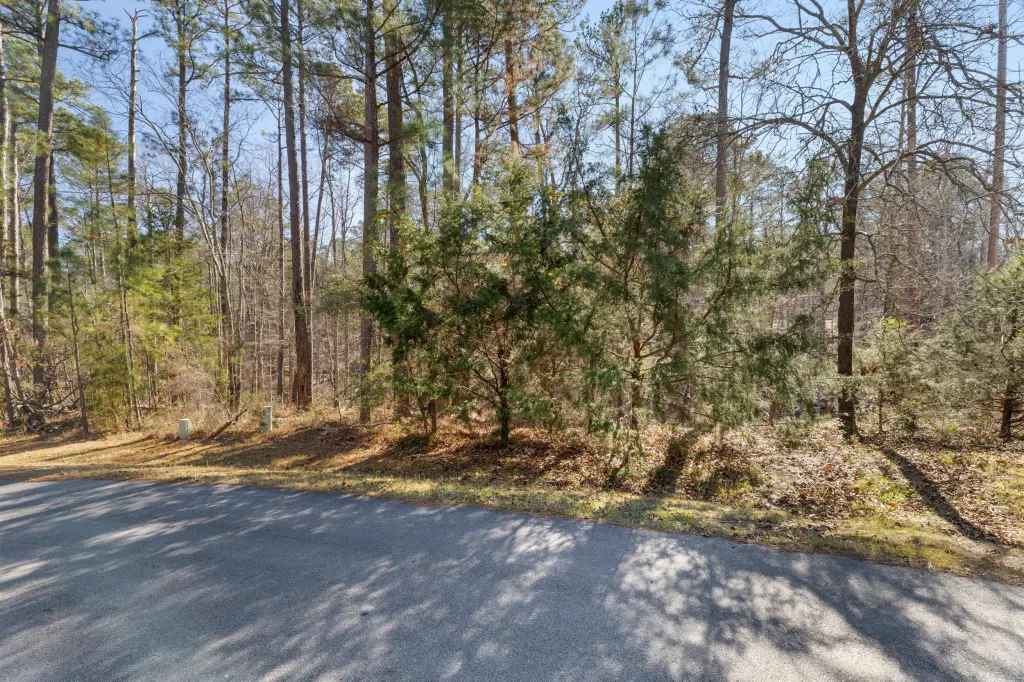 Picture 8