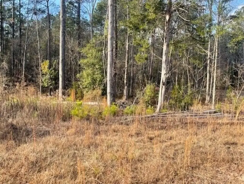 Picture 2