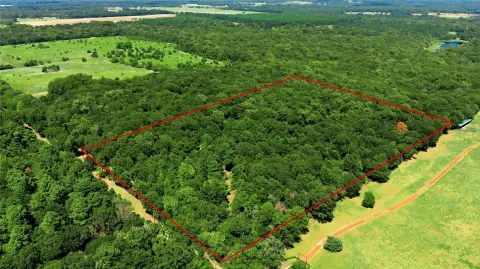 Wooded Acreage Tract