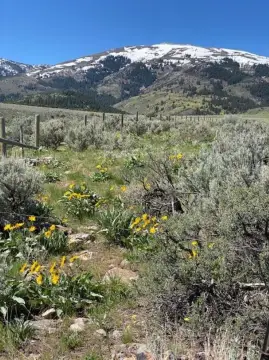 Idaho Land with Creek Frontage