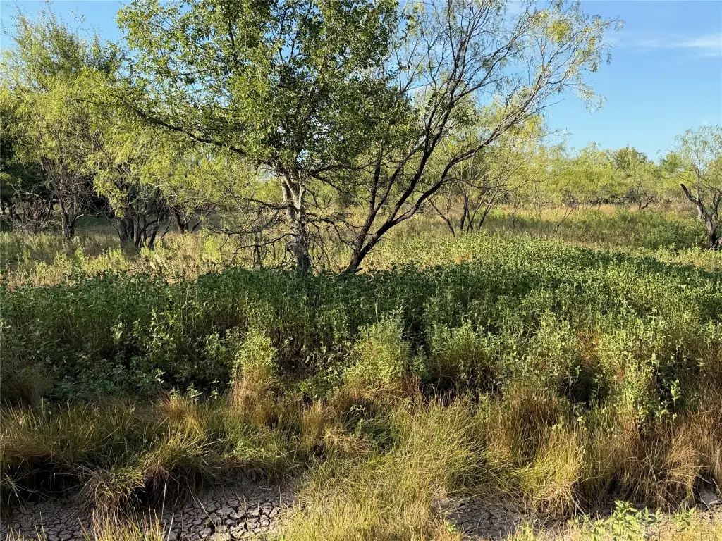 Picture 18