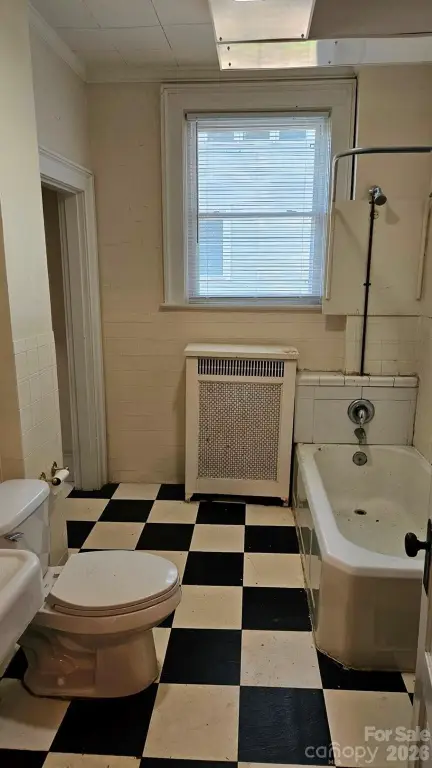 Picture 24