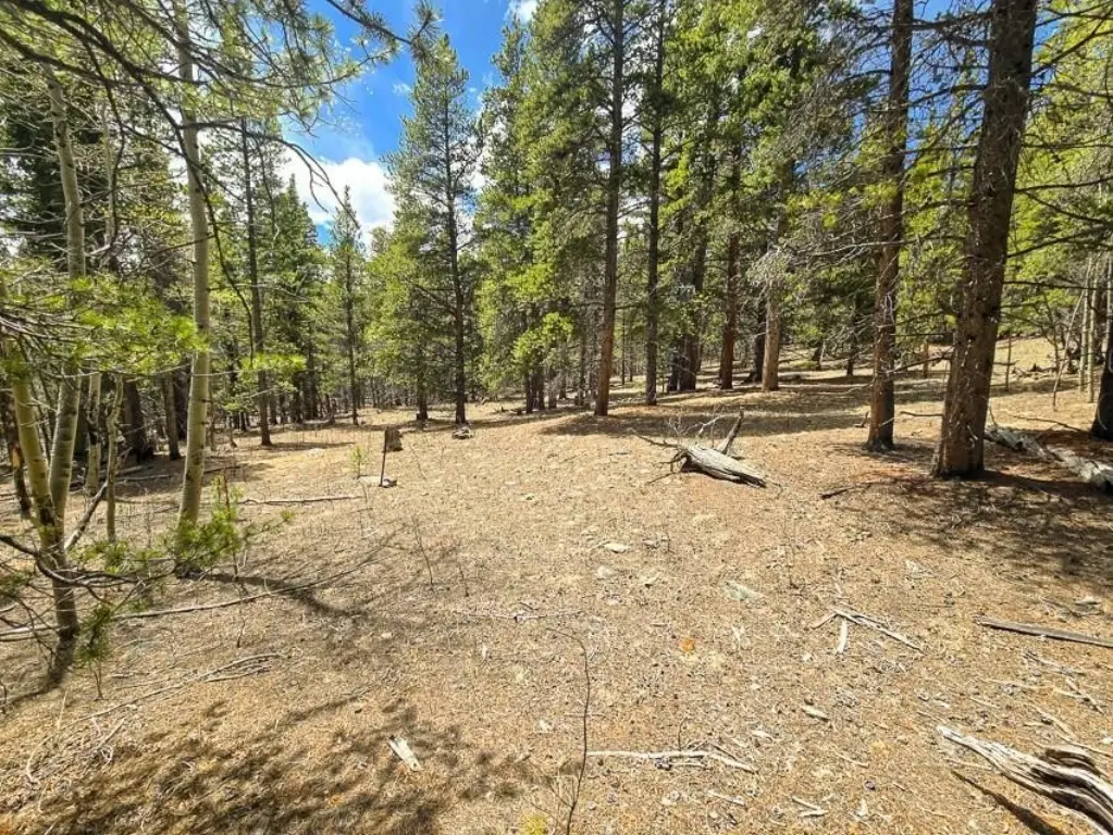 Picture 5