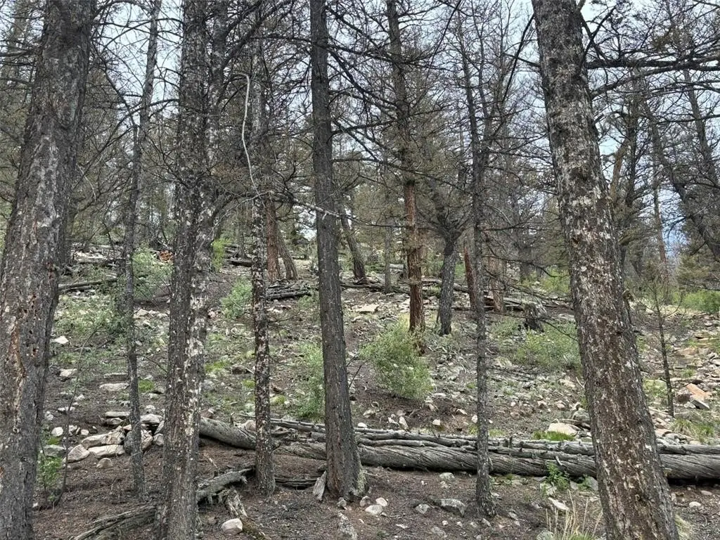 Picture 21