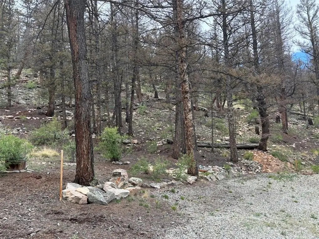 Picture 11