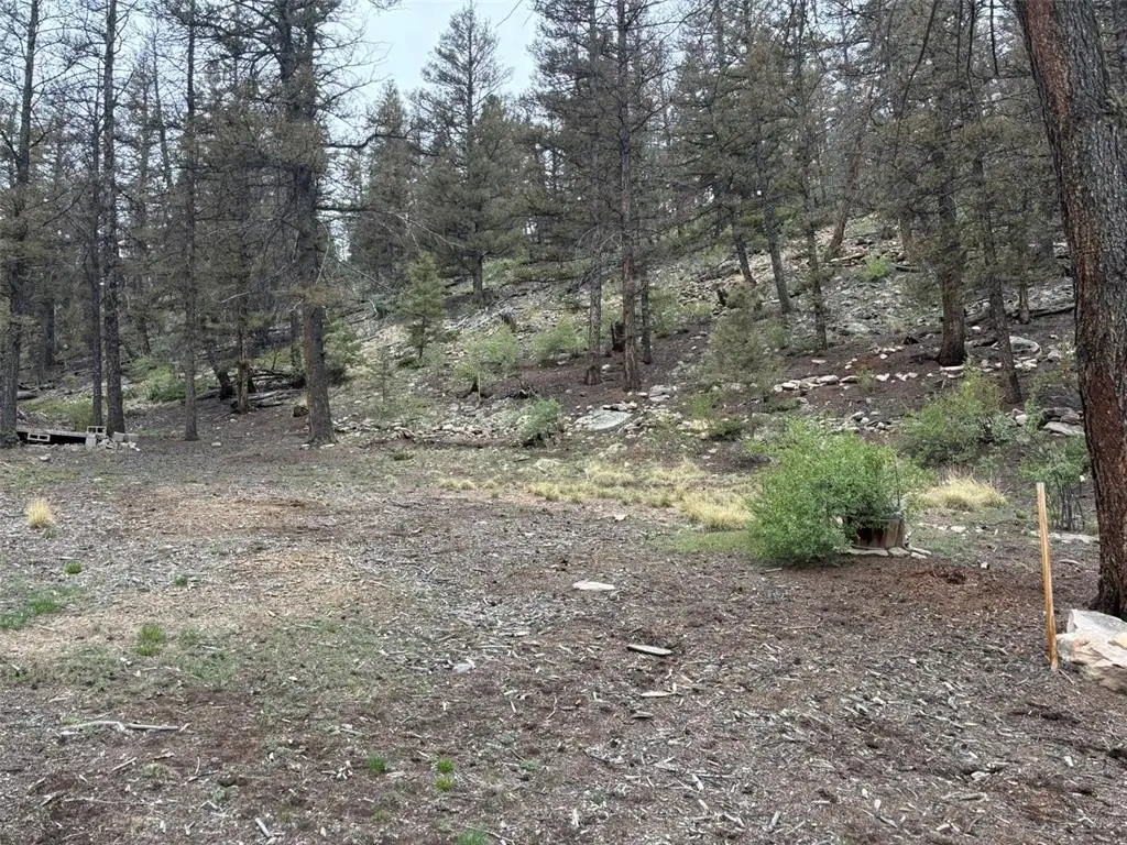Picture 13