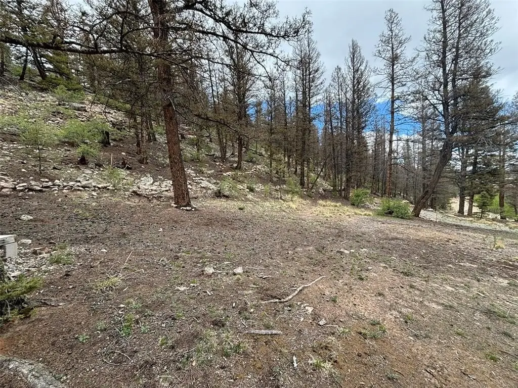 Picture 7