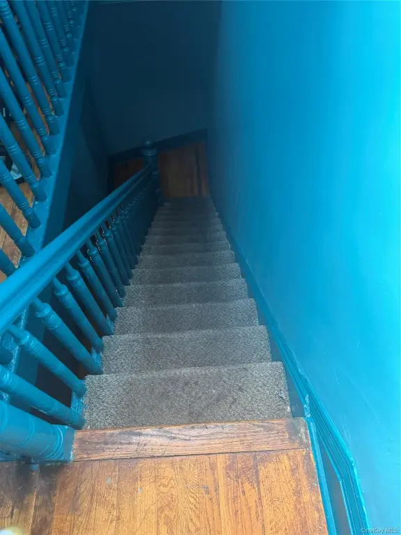 Picture 5