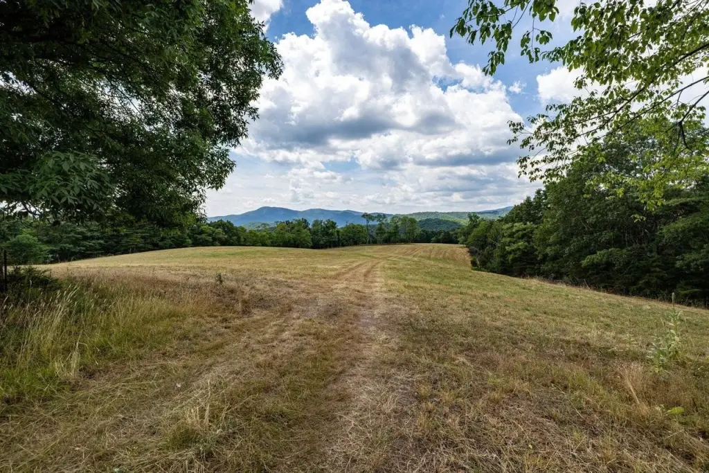 Picture 42