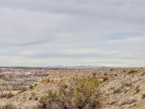 15 Acres Overlooking Animas River