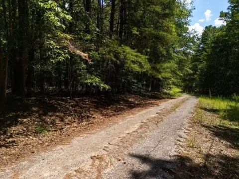 Residential Land in Jasper, AL