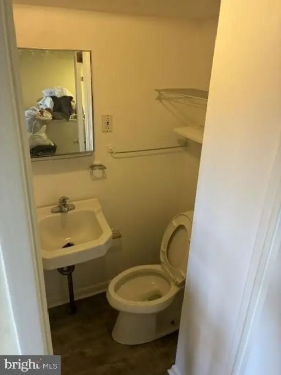 Picture 9