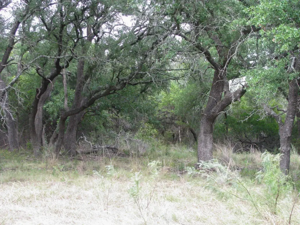 Picture 29