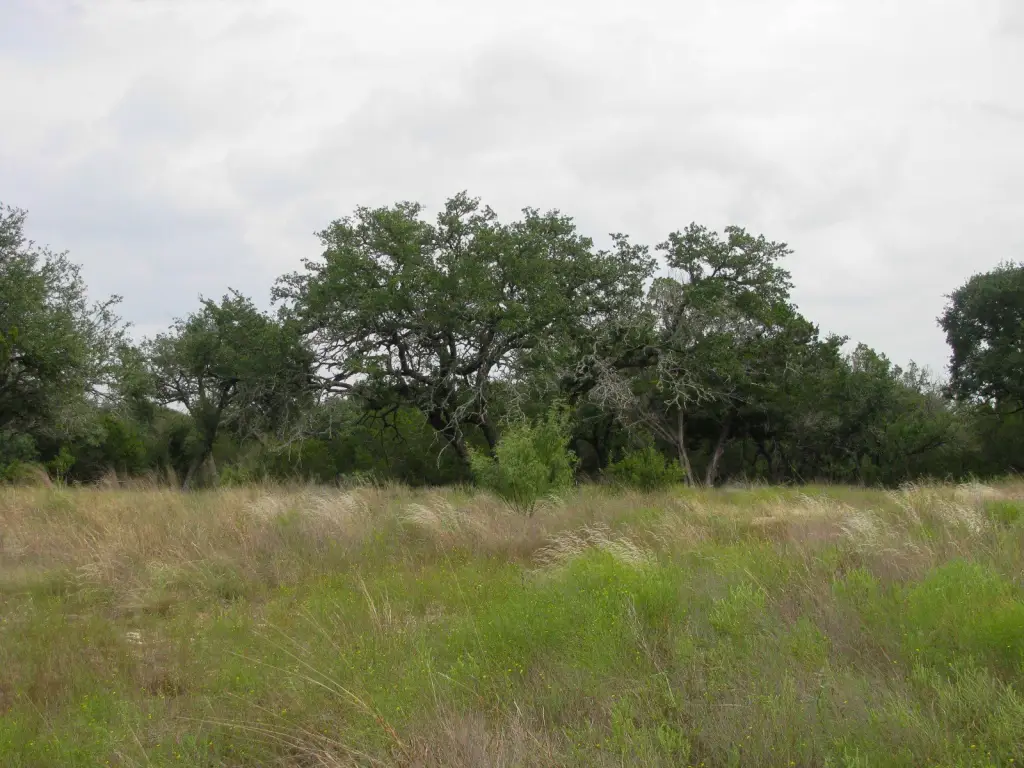 Picture 26