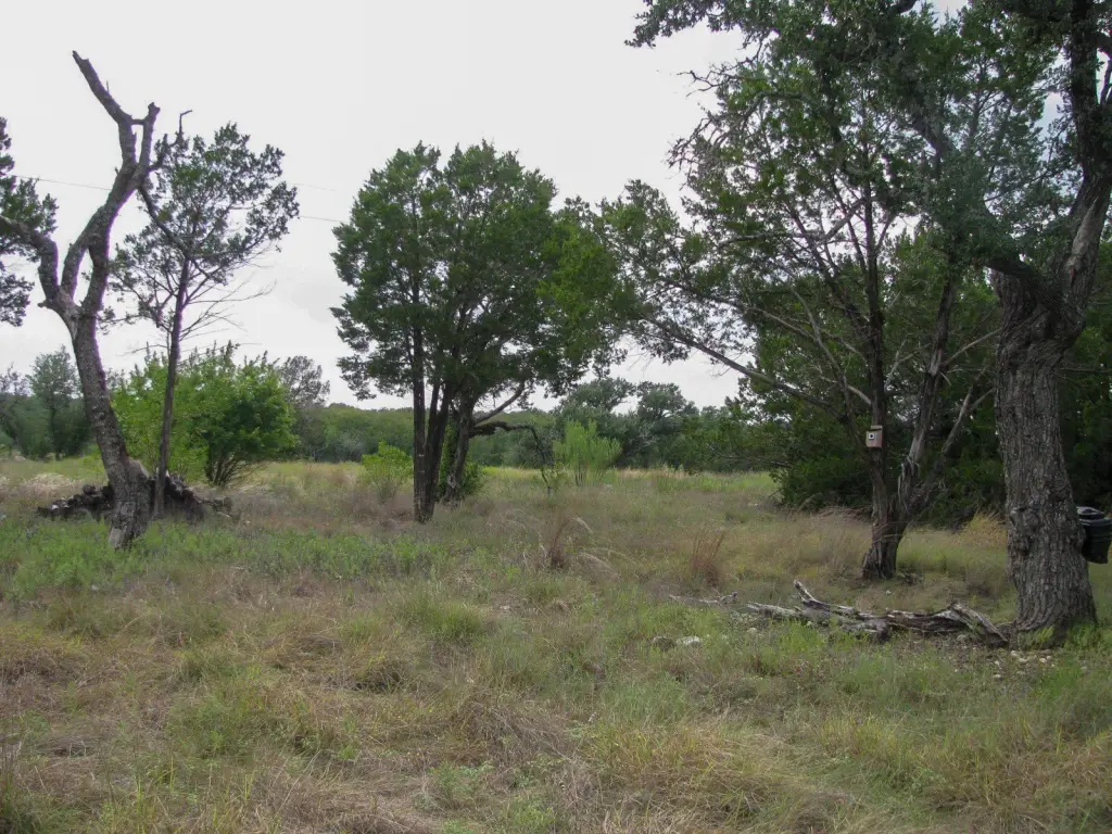 Picture 16