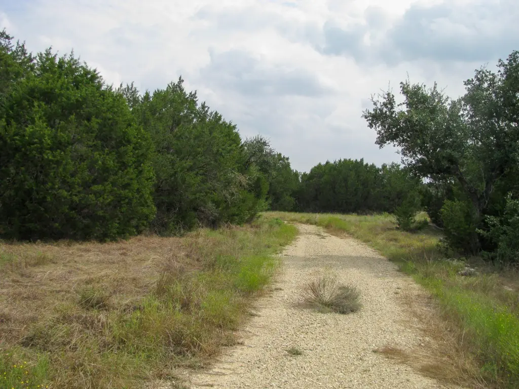 Picture 9