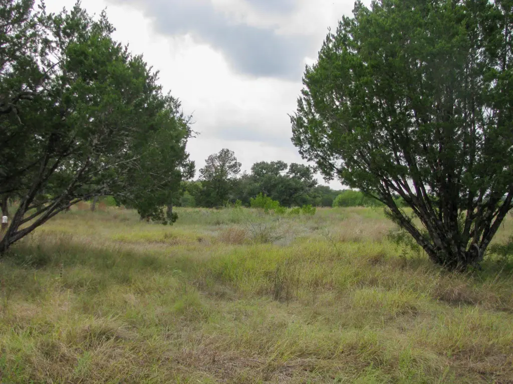 Picture 17