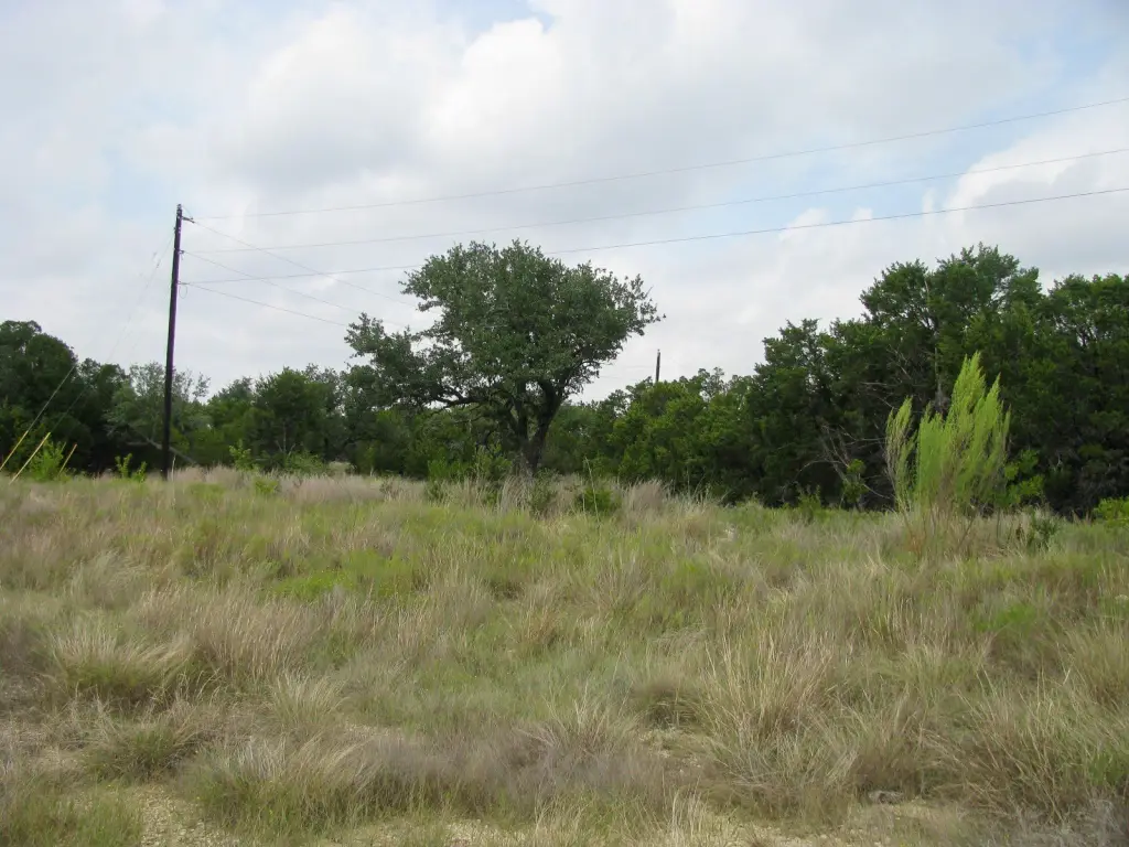 Picture 24
