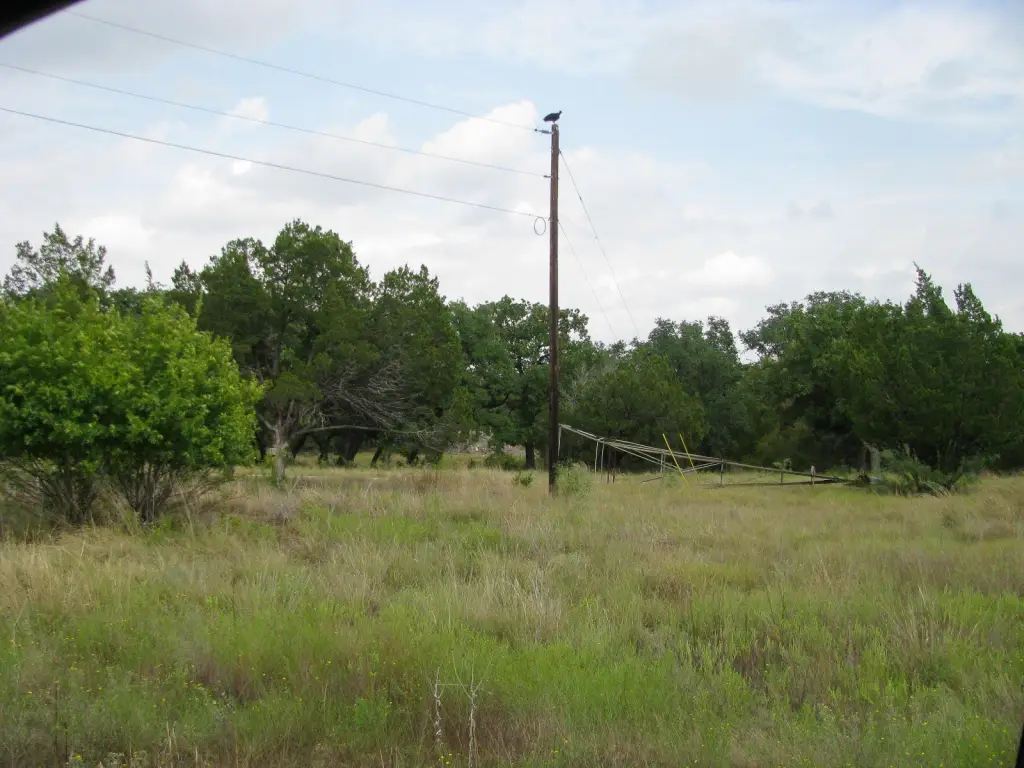 Picture 21