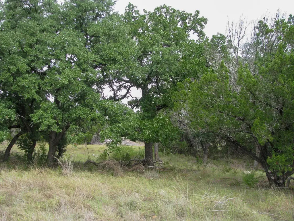 Picture 27