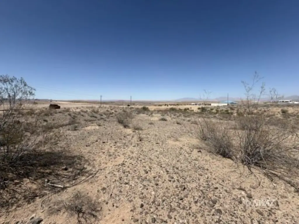 Picture 22