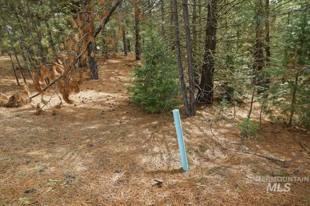 Picture 19