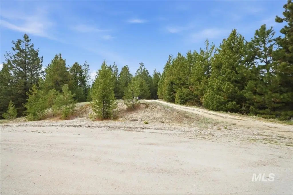 Picture 5