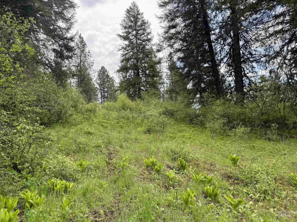 Picture 20