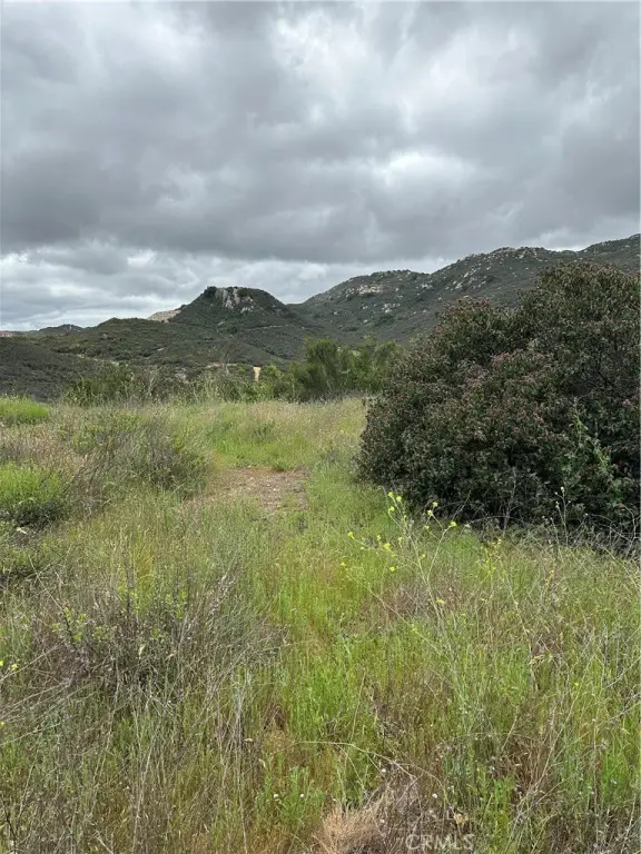 Picture 9
