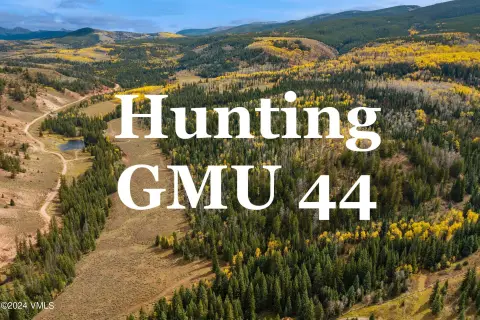 Land Bordering White River Forest