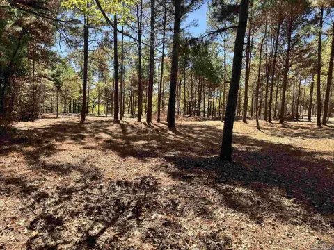 Residential Lot in White Oak