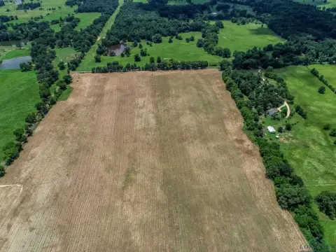 52 Acres of Hay Meadow