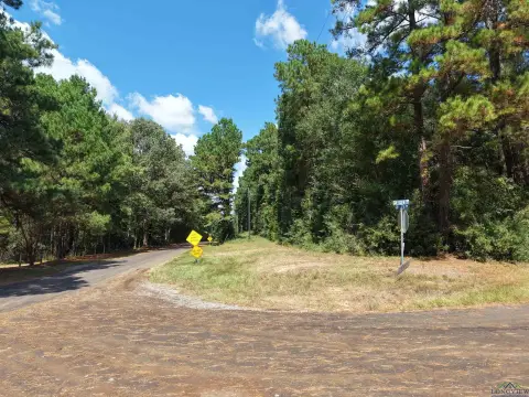 Land in Gary City, TX