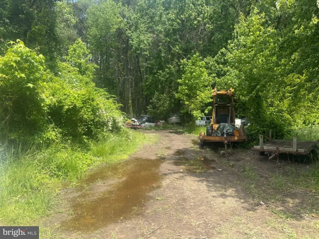 Picture 6