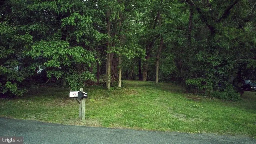 Picture 7