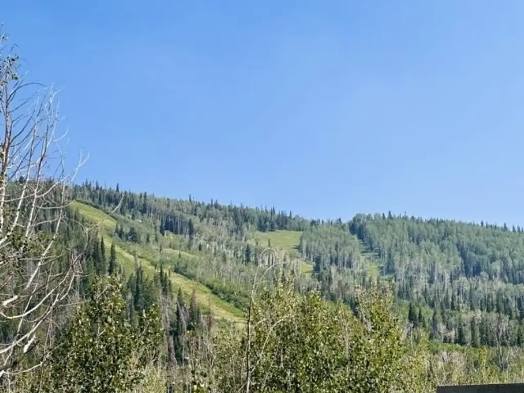 Picture 18