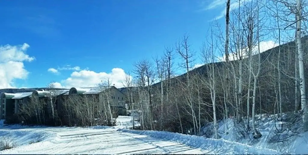 Picture 23