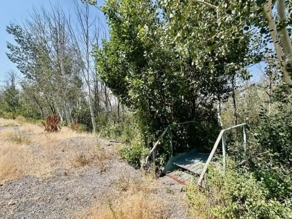 Picture 13
