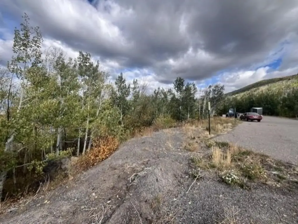Picture 6