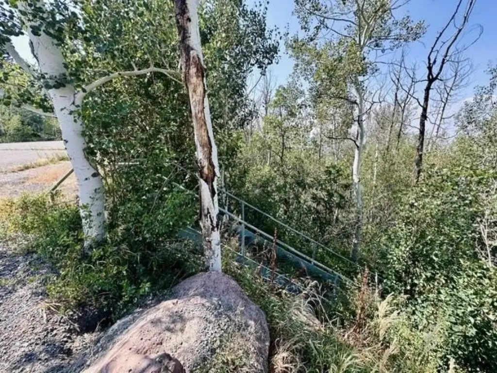 Picture 10