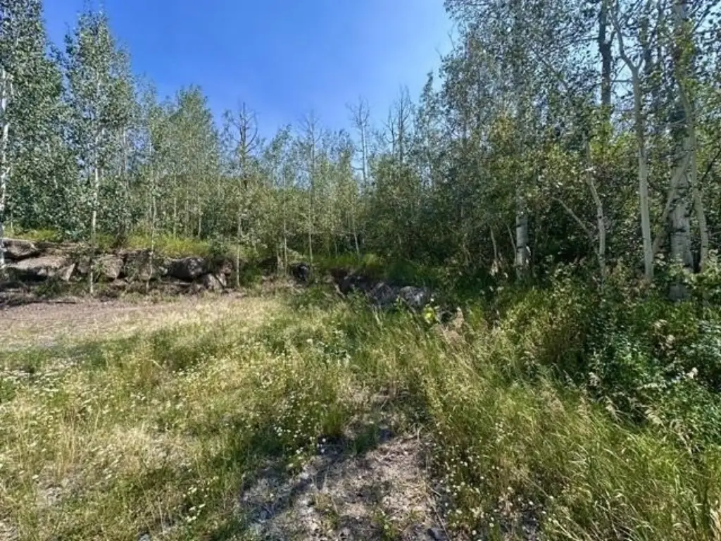 Picture 7