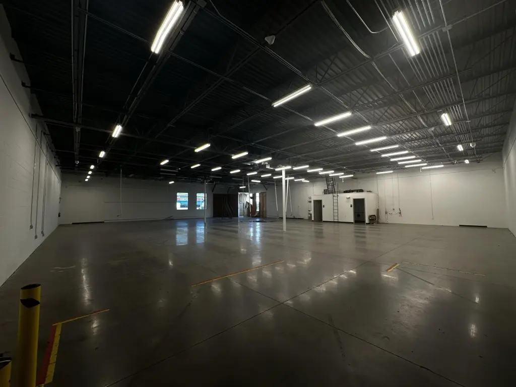 Picture 6