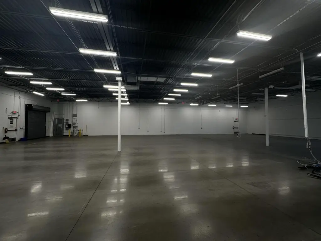 Picture 5