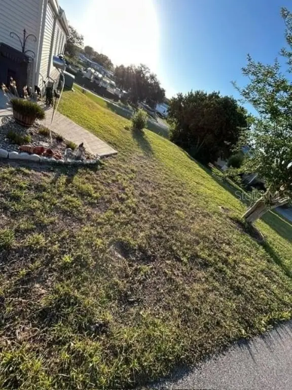 Picture 5