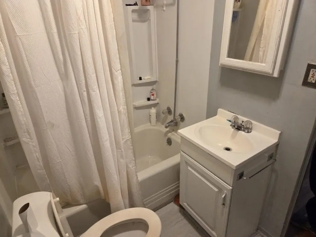 Picture 17