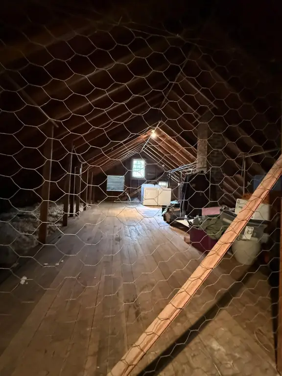 Picture 6